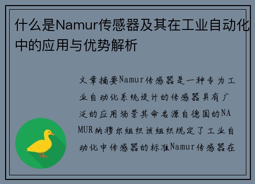 什么是Namur传感器及其在工业自动化中的应用与优势解析